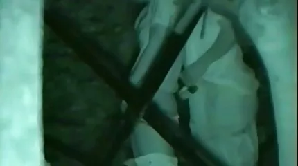 Cho đầy bánh kem vào âm hộ châu Á và khiến cô ấy rên rỉ ầm phim sex nhat ban hd hay ĩ.